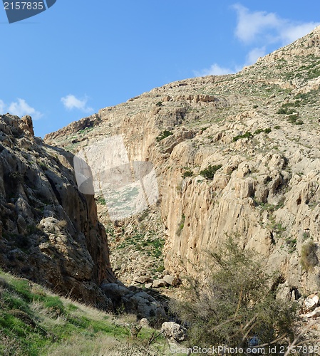 Image of Desert mountain valley of Nachal Prat creek in spring