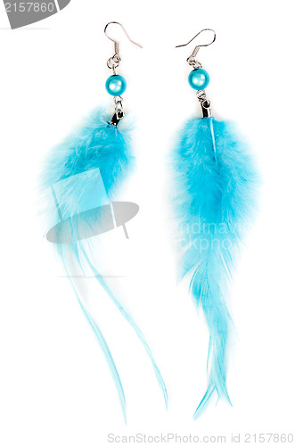 Image of A pair of earrings