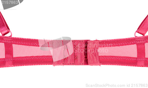 Image of bra buckle