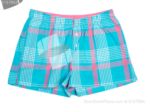 Image of The blue plaid shorts