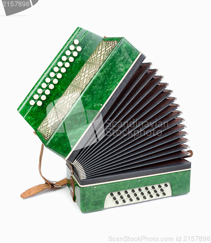 Image of Green Accordion, isolated on white background