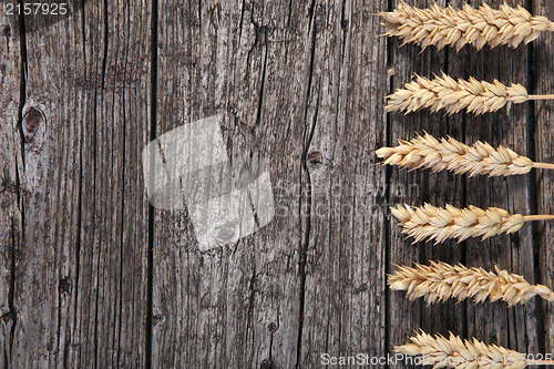 Image of Ears of wheat on a wood background