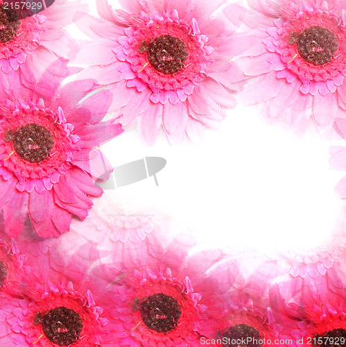 Image of Colourful pink flower border