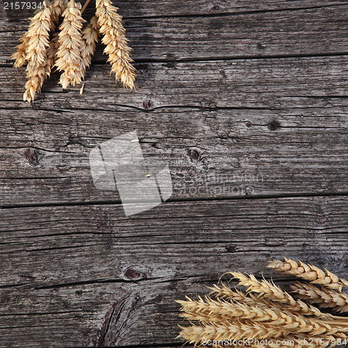 Image of Bunches of golden wheat on wood