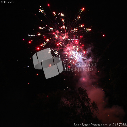 Image of Colourful red fireworks display