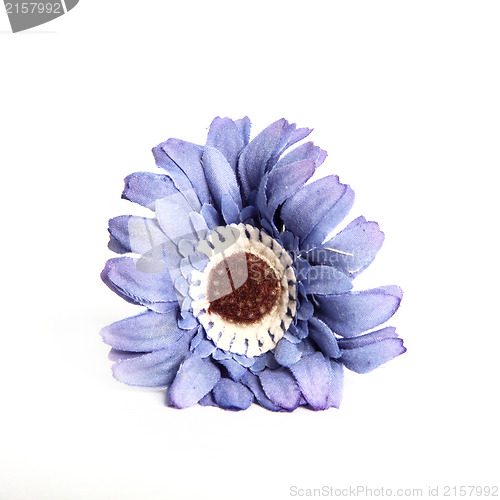 Image of Decorative blue flower