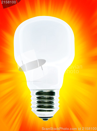 Image of White bulb