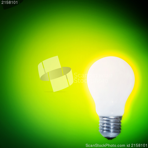 Image of White bulb