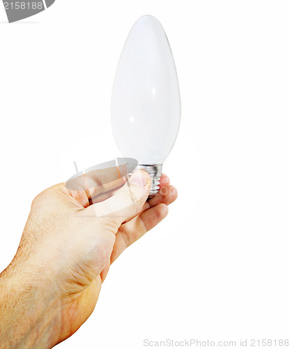 Image of White bulb