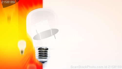 Image of White bulb