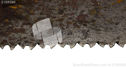 Image of rusty retro metal hand saw blade closeup on white 