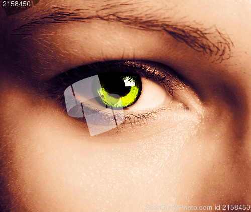 Image of Beautiful eye 