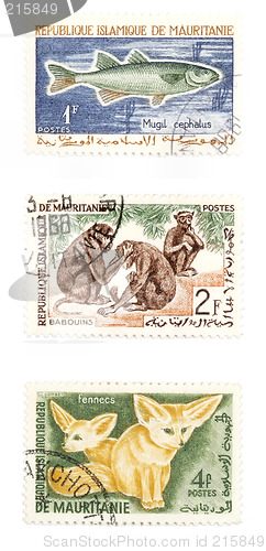Image of Animals on post stamps from Africa