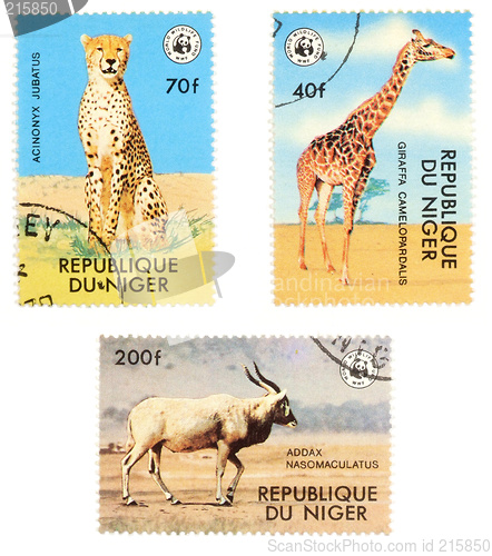 Image of African postage stamps with animals