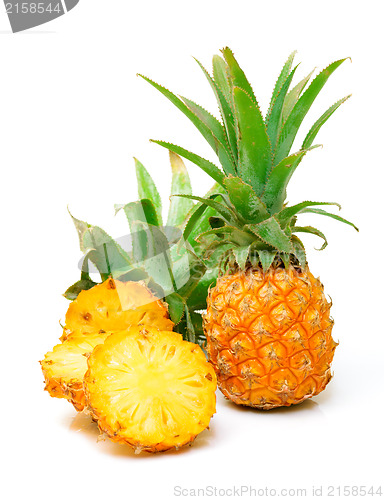 Image of Ripe Pineapple Fruit