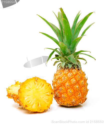 Image of Ripe Pineapple Fruit