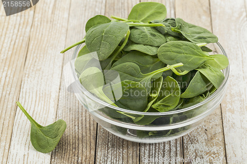 Image of bowl of baby spinach