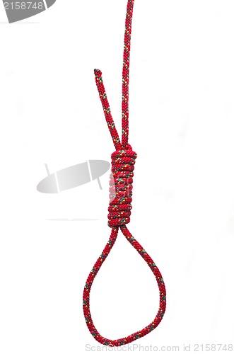 Image of Noose