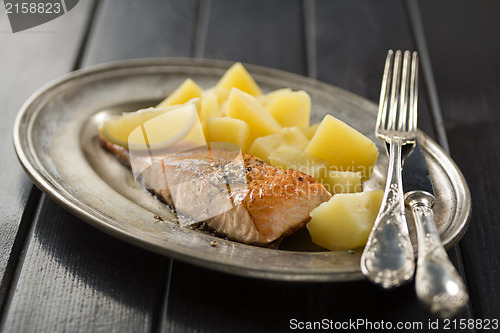 Image of Salmon