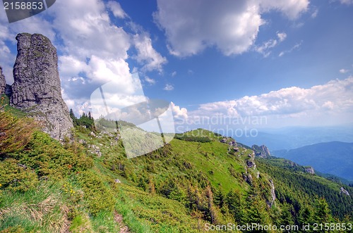 Image of Summer landscape