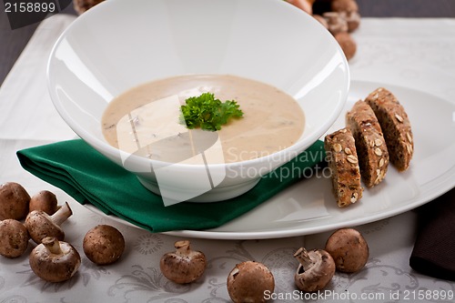 Image of fresh chmapignon cream soup with parsley