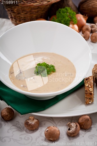 Image of fresh chmapignon cream soup with parsley