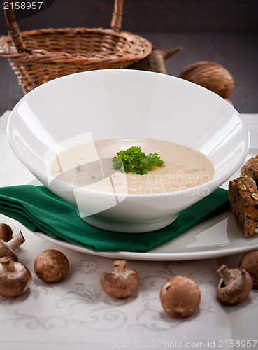Image of fresh chmapignon cream soup with parsley