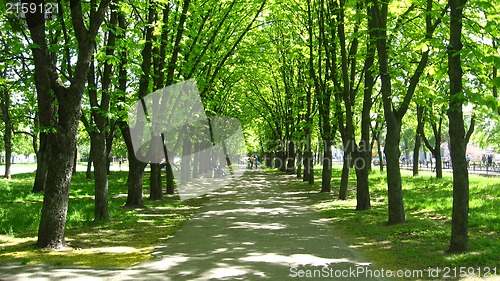Image of People have a rest in park with greater trees