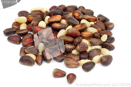 Image of Cedar Nuts