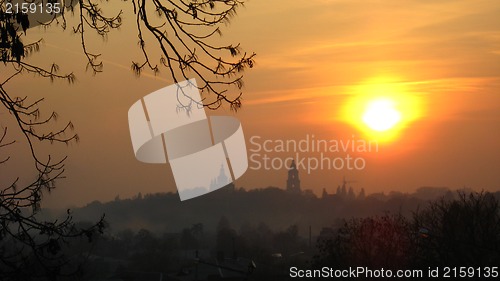 Image of Branch of tree and beautiful decline