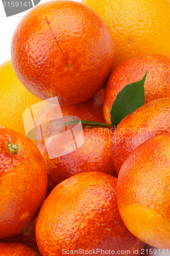 Image of Blood Oranges