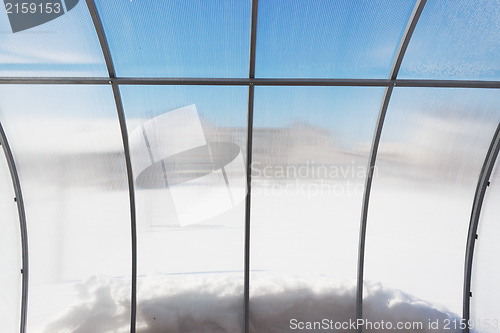 Image of View from inside a greenhouse winter