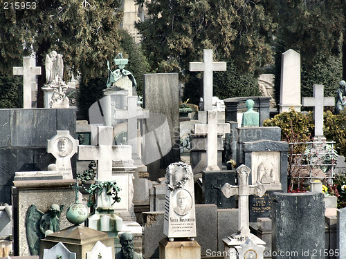 Image of Cemetery decorative crosses and tombs