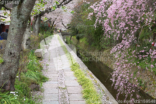 Image of Kyoto