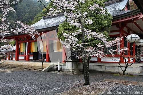 Image of Rainy Japan