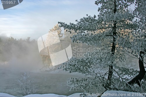 Image of winter scenic