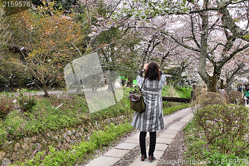 Image of Kyoto, Japan