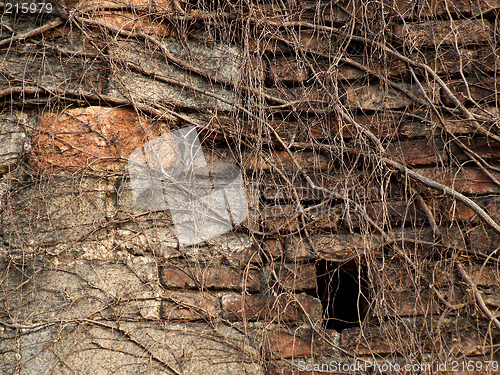 Image of Brick castle and dead ivy