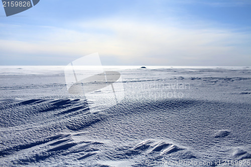 Image of arctic