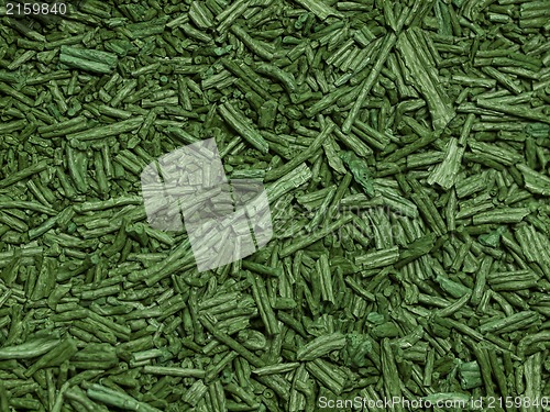 Image of Spirulina background