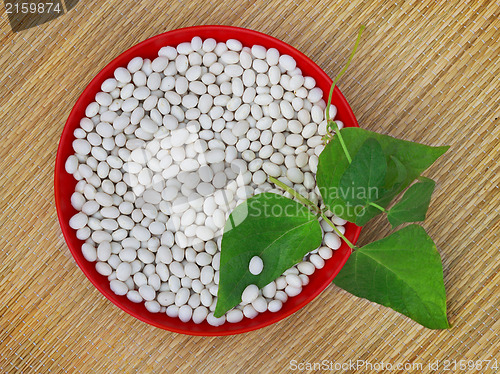 Image of Beans and leaves in red plastic bowl 