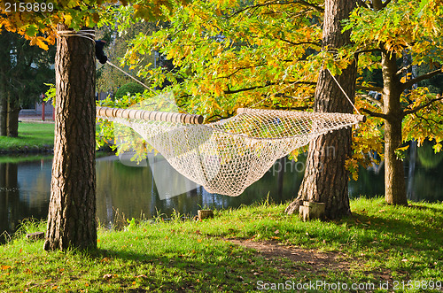 Image of A hammock near the pond in autumn Park 