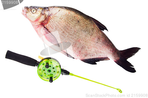 Image of  bream and Rod is isolated on a white background 