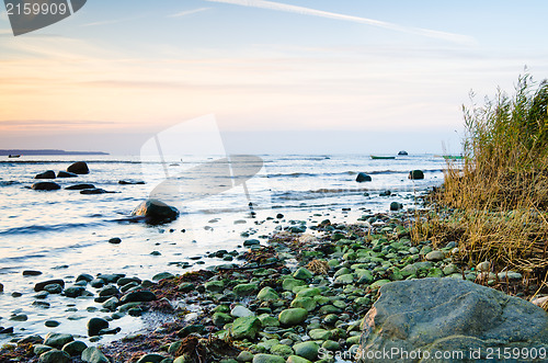 Image of Coast of the Baltic Sea at sunset