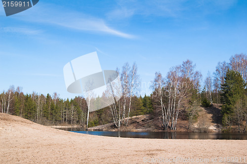 Image of Spring landscape at wood lake