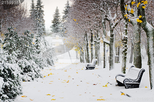 Image of Alley in the Park later in the autumn. Snow storm 