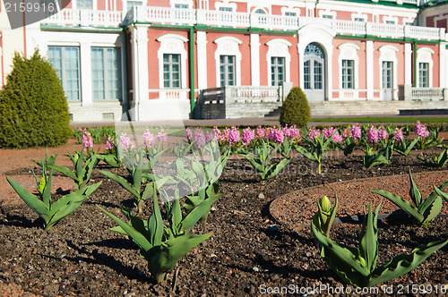 Image of Gardens of Kadriorg Palace  in Tallinn, Estonia 
