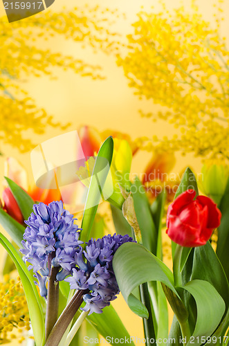 Image of Spring bouquet with a mimosa and tulips