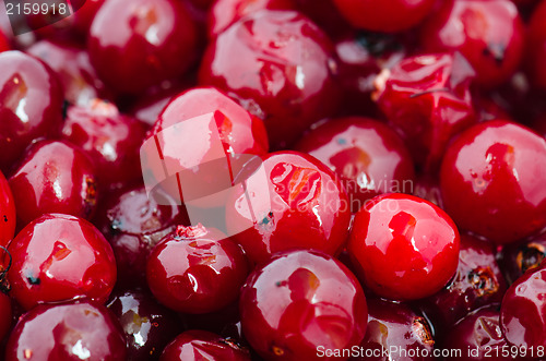 Image of The defrozen cranberry, close up