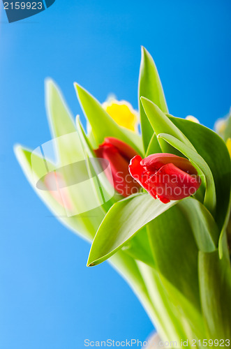 Image of Spring bouquet with tulips